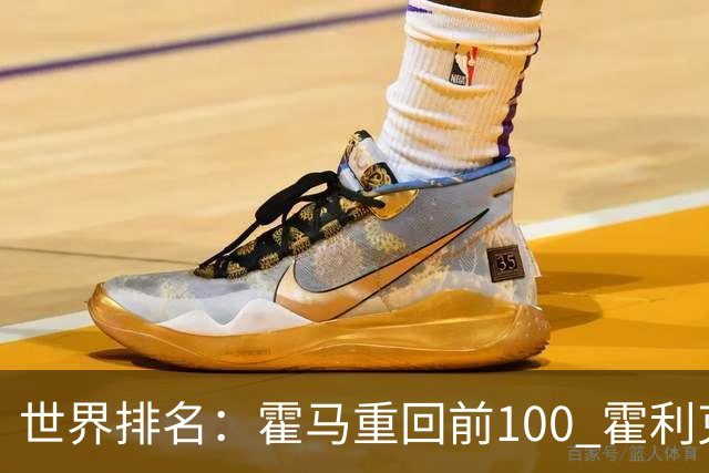 世界排名：霍马重回前100 霍利克夺冠进前150